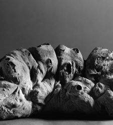 In Tricarico (Matera) erz&auml;hlen 50 Fotografien von Luigi Spina die Geschichte der b&auml;uerlichen Kultur, zwischen Land, Arbeit und Brot