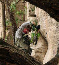 Mexique, de nouvelles peintures rupestres datant de la pr&eacute;histoire &agrave; 1521 apr&egrave;s J.-C. d&eacute;couvertes lors de travaux sur le train Mexico-Quer&eacute;taro