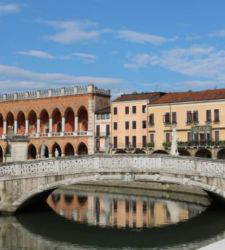 Working in art and culture: this week's open positions