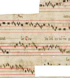 &Agrave; Rimini, les passages m&eacute;di&eacute;vaux du Codex de Saint-Gaudenz, d&eacute;couverts par l'Universit&eacute; de Trente, reprennent vie pour la premi&egrave;re fois