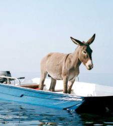 MAXXI 2026: a year of exhibitions, architecture and urban regeneration