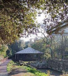 Le parc arch&eacute;ologique de Veio ouvre un nouveau parcours accessible dans la zone du sanctuaire de Portonaccio