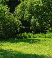 En Treviso, la exposici&oacute;n de Pascale Marthine Tayou entre identidad, geopol&iacute;tica y memoria