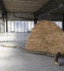 Spoleto: Der Palazzo Collicola er&ouml;ffnet den Kunstsommer mit Penone, Cioni und Marignoli