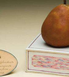 Les incroyables figures en cire v&eacute;g&eacute;tale de la Specola de Florence : les faux fruits qui ont &eacute;merveill&eacute; le monde