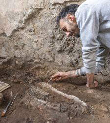 Pomp&eacute;i, le squelette d'un &eacute;quid&eacute; &eacute;merge dans le complexe Casti Amanti 
