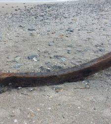 Tidal flats at Poetto in Cagliari unearth modern vessel, possible wreck of 1793 French expedition