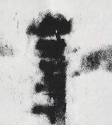 Eine Ausstellung von St&eacute;phane Dub&eacute;s Gem&auml;lden von Insekten und Schlangen in Venedig