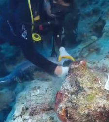 Turkey: 4,700-Year-Old Amphorae Resurface from the Sea—Is This the World's Oldest Shipwreck?