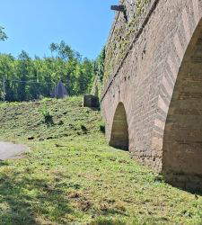 K&ouml;nigspalast von Caserta: Vereinbarung mit der Provinz zum Schutz des Carolino-Aqu&auml;dukts und des Waldes von San Silvestro