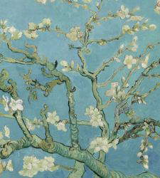 Le printemps, un &eacute;tat d'esprit : lorsque nous commen&ccedil;ons nous aussi &agrave; refleurir