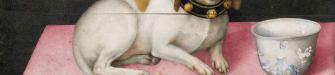 Il gabinetto delle meraviglie di Giovanna Garzoni: frutta, porcellana e miniature