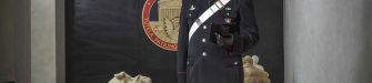 Ecco come i Carabinieri lottano contro il traffico di reperti: intervista al Comandante Archeologia