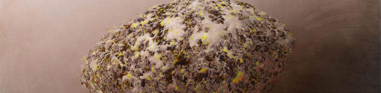 Organisms on the Threshold. Enrico Minguzzi's hybrids, an expanding painting.