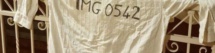 Luca Rossi bewertet mehr als 60 zeitgen&ouml;ssische K&uuml;nstler: der Michelin-F&uuml;hrer 2026