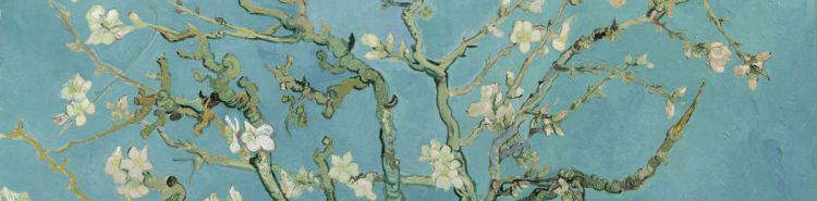 La primavera como estado de &aacute;nimo: cuando nosotros tambi&eacute;n empezamos a florecer de nuevo