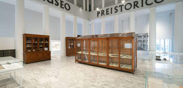 MUCIV: the megamuseum the Ministry bet on. Interview with Andrea Viliani