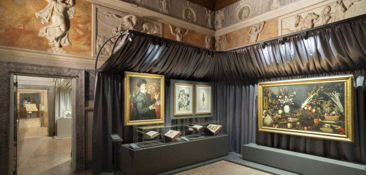 Als das Staunen noch dazu diente, die Welt zu verstehen. Wie ist die Ausstellung über das 16. Jahrhundert in Mantua?