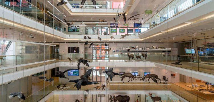 Il &ldquo;museo attivista&rdquo;, da tempio a motore sociale. Il pensiero di Michele Lanzinger 