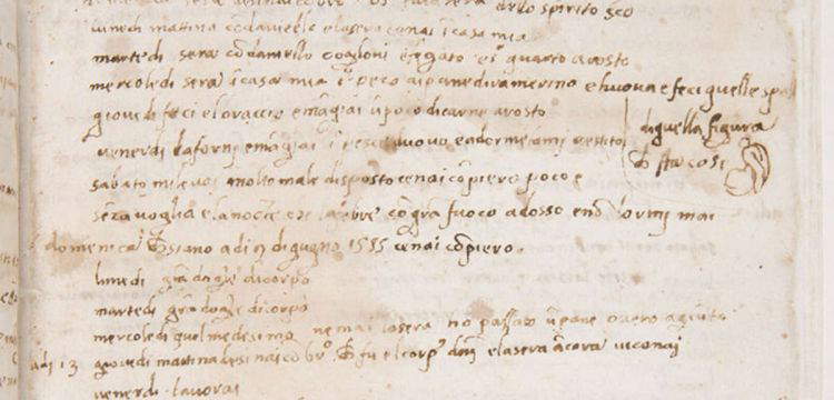 Pontormos Tagebuch: Was a&szlig; ein K&uuml;nstler im 16. Jahrhundert?