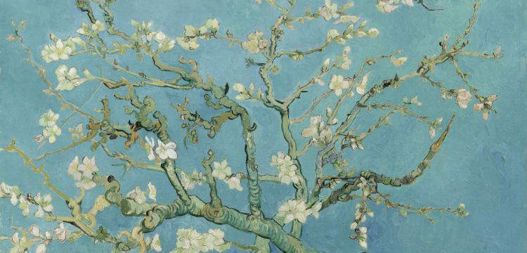 Le printemps, un &eacute;tat d'esprit : lorsque nous commen&ccedil;ons nous aussi &agrave; refleurir