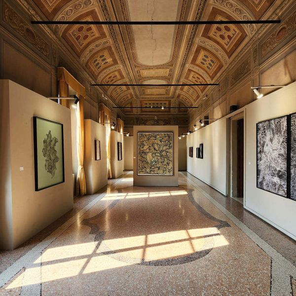 Maurizio Donzelli: Enchantments That Challenge the Gaze. The Exhibition in Bagnolo Mella