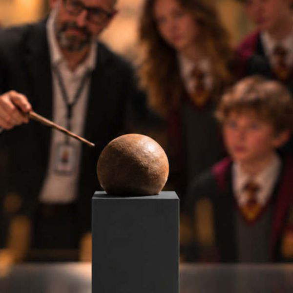 Cómo dar a conocer el Palacio Ducal de Mantua a través de Harry Potter: habla Lorenzo Bonoldi 