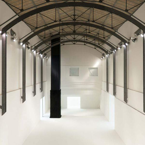 Cuoghi Corsello at MAMbo: The Museum Becomes an Animal to Pet. What’s the Exhibition Like?