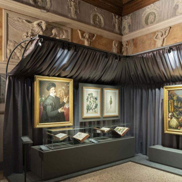 Als das Staunen noch dazu diente, die Welt zu verstehen. Wie ist die Ausstellung über das 16. Jahrhundert in Mantua?
